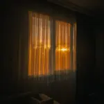 pexels-photo-34691076