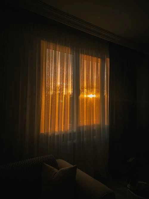 pexels-photo-34691076